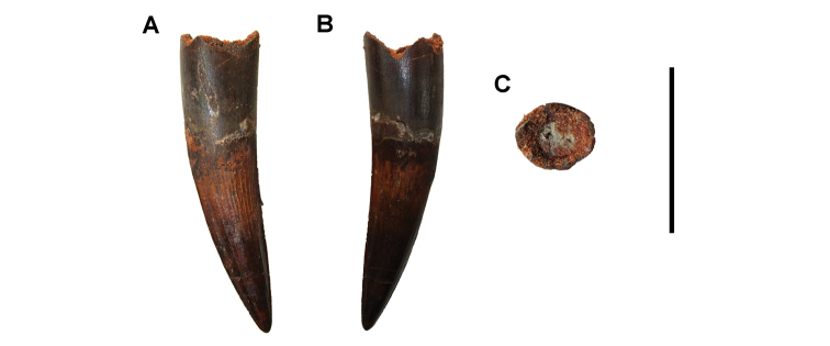 Figure 119.