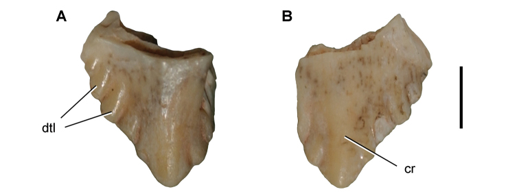 Figure 103.