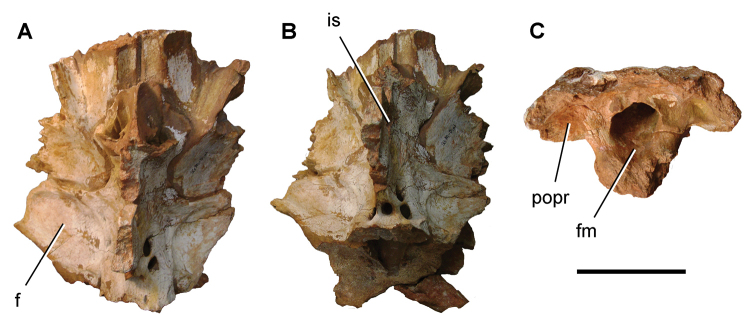 Figure 137.