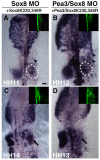 Fig. 8.