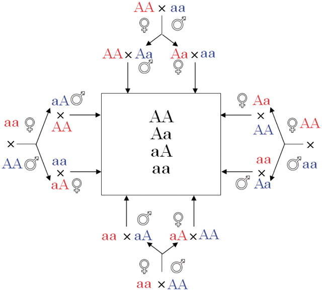 Figure 1: