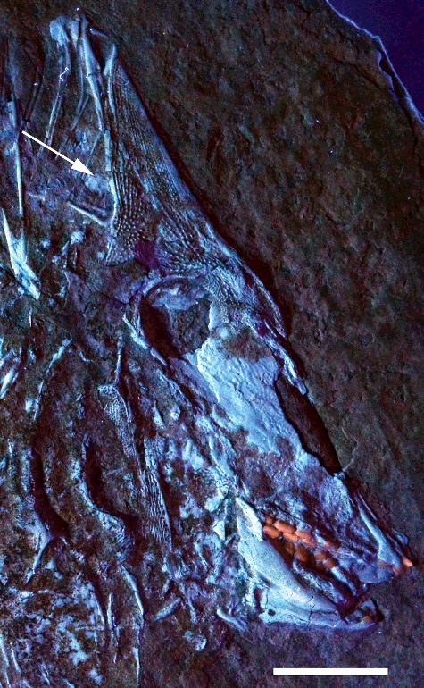 Figure 3.