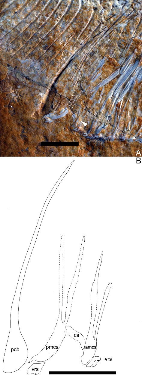 Figure 5.