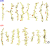 Figure 5—figure supplement 2.