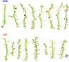 Figure 2—figure supplement 1.