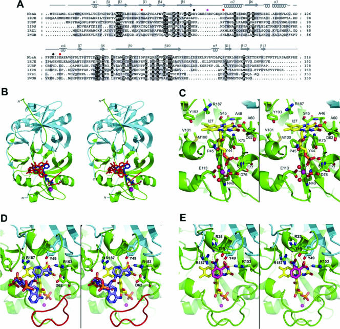 FIG. 4.