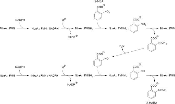 FIG. 5.