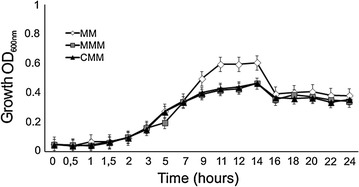 Fig. 1