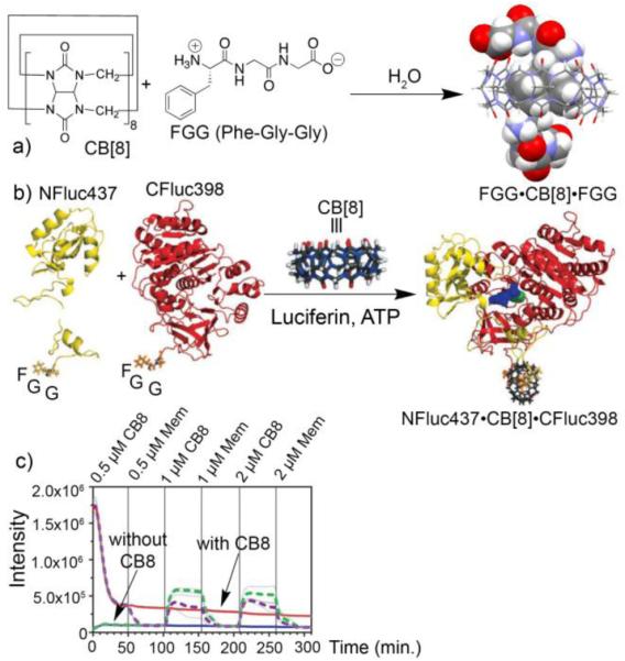 Figure 11