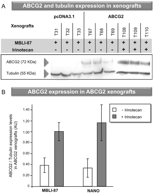 Fig. 2 –