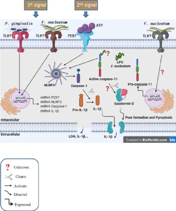 Image, graphical abstract