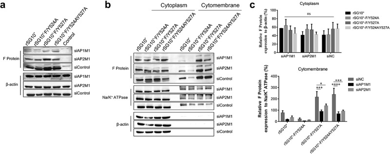 Figure 6.