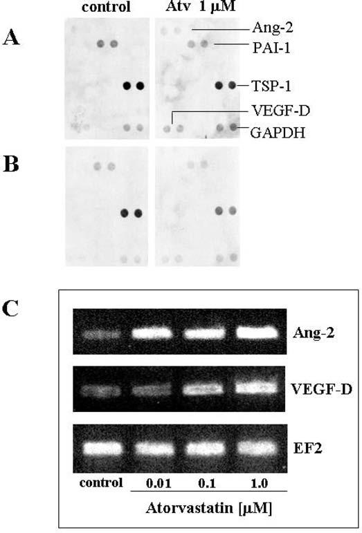 FIG. 5