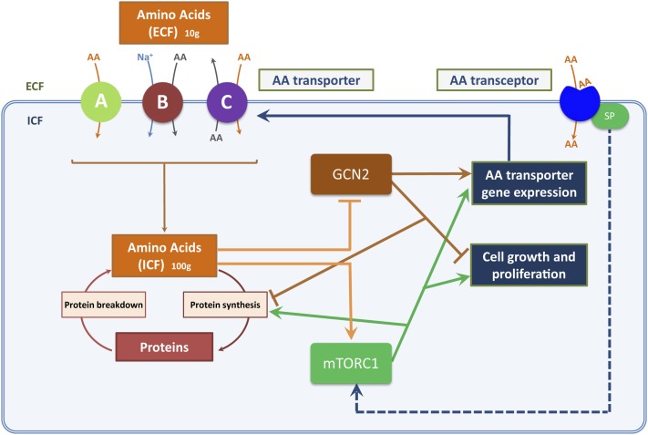 FIGURE 2.