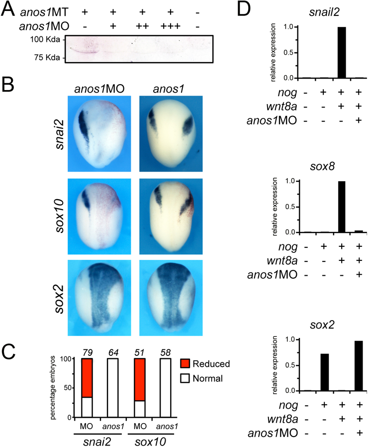 Figure 3: