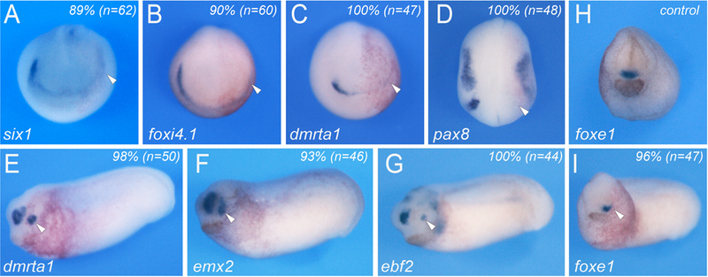 Figure 4: