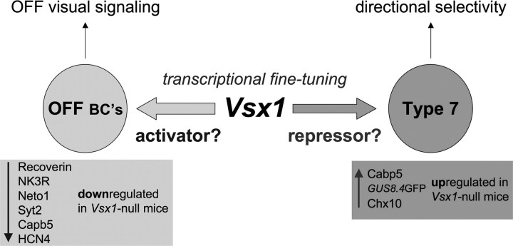 Figure 10.