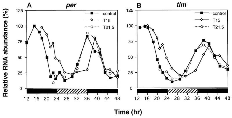 FIG. 8