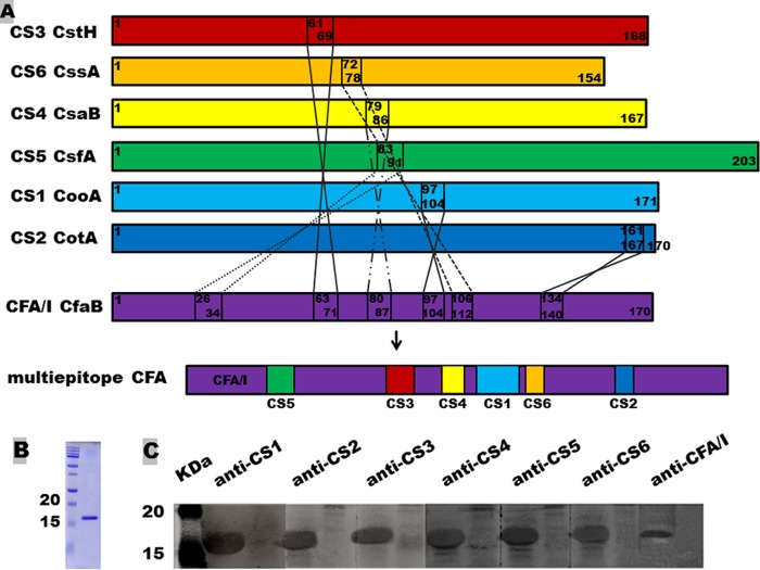 FIG 1