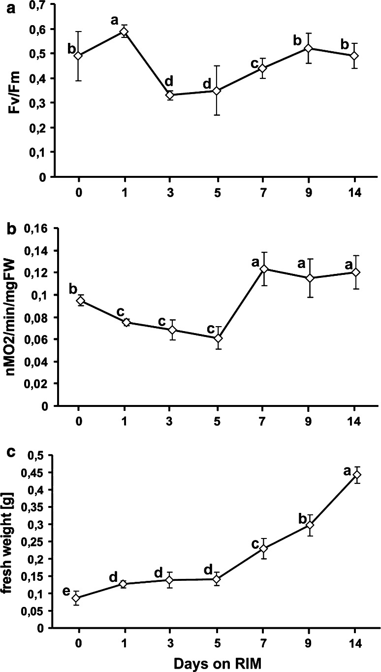 Fig. 7
