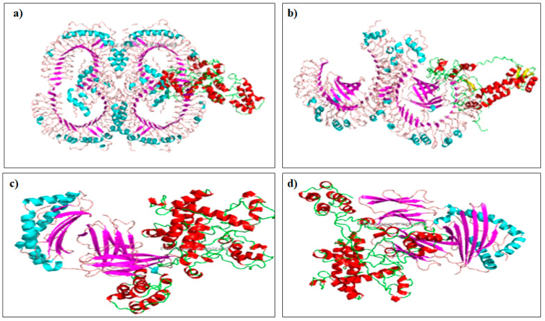 Figure 4