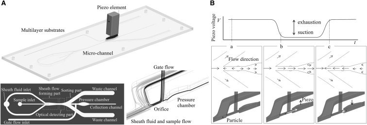 Figure 1