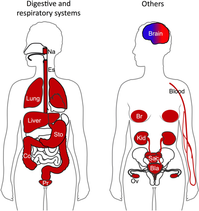 Fig. 3