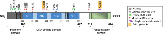 Fig. 1