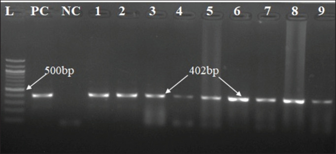 Figure 4.