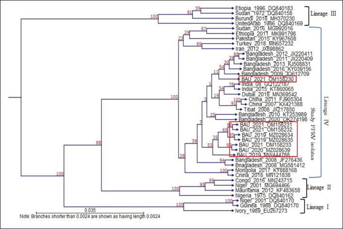 Figure 7.