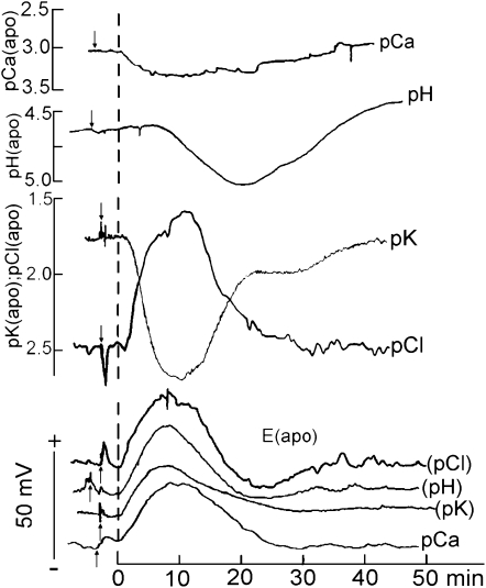 Figure 6.