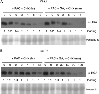 Figure 6.—