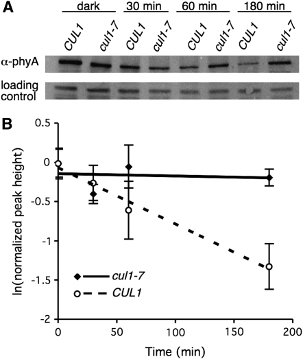 Figure 7.—