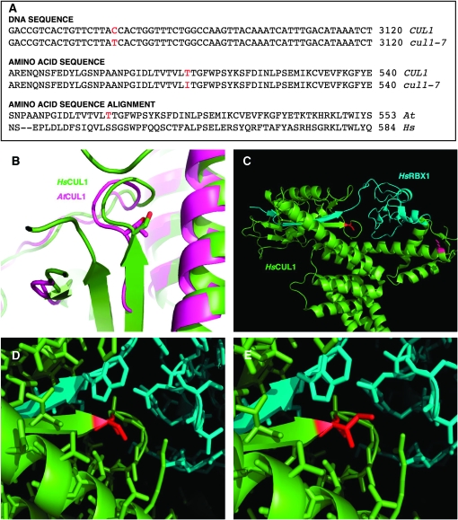 Figure 2.—