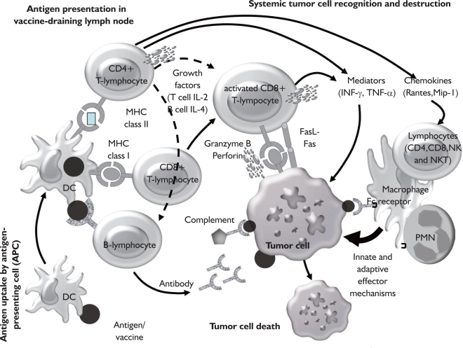 Fig 2.