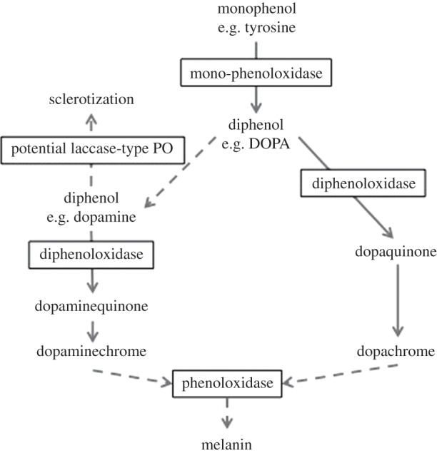 Figure 1.