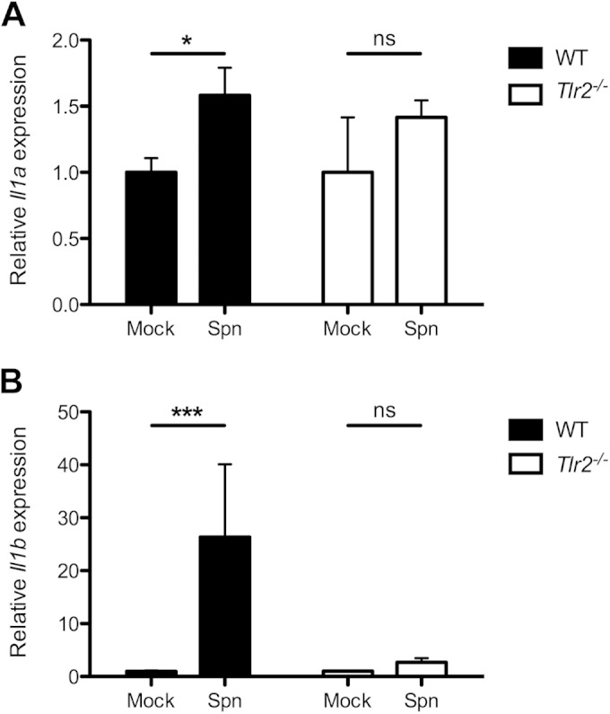 FIG 2