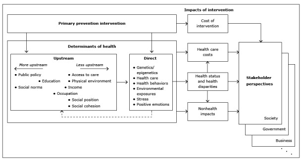 The figure shows the flow of the effects of an investment in primary prevention through the determinants of health to their ultimate impacts as viewed by different stakeholders. A box at the upper left of the figure represents a primary prevention intervention. Arrows pointing downward from the box indicate that the intervention can affect both upstream determinants of health (public policy, social norms, education, occupation, income, access to care, physical environment, social position, and social cohesion, listed from more upstream to less upstream) and direct determinants of health (genetics/epigenetics, health care, health behaviors, environmental exposures, stress, and positive emotions). Arrows connecting the upstream and direct determinants boxes point to the complex effects that the determinants have on each other. To the right of the primary prevention intervention and determinants of health boxes is a column of 4 boxes that represent the ultimate impacts of the intervention, connected by arrows from the intervention and determinants boxes that affect them: cost of the intervention (driven by the primary prevention intervention), health care costs (affected by all the determinants of health), health status and health disparities (affected by the direct determinants), and nonhealth impacts (affected by all the determinants). Arrows from each of these impact boxes indicate that they can be viewed from the perspectives of alternative stakeholders (eg, society, government, business).