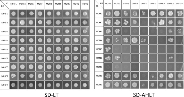 FIGURE 3.