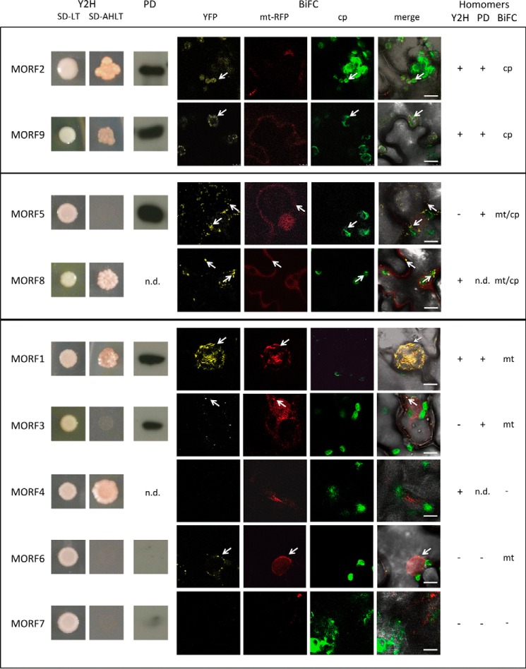 FIGURE 2.