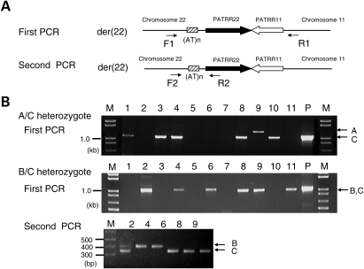 Figure 1.