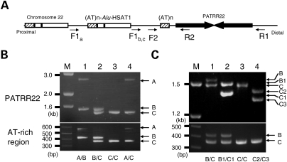 Figure 2.