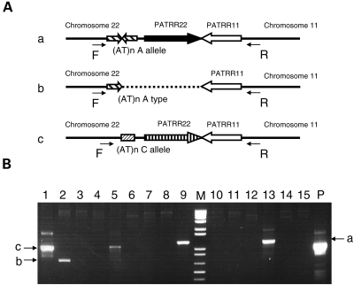 Figure 4.