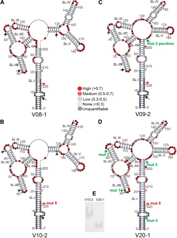 FIG 3