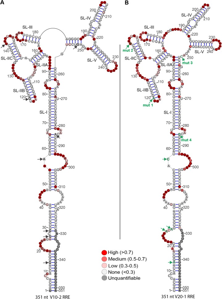 FIG 5