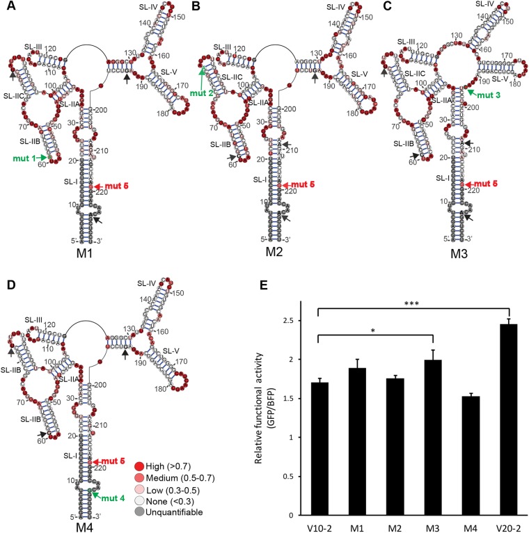 FIG 6