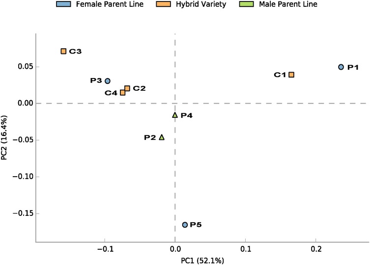 Fig. 3