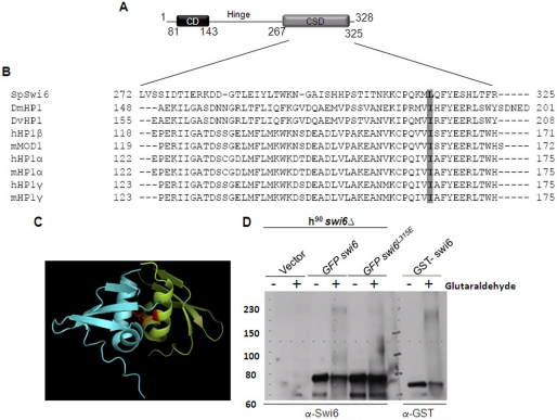 FIGURE 1.