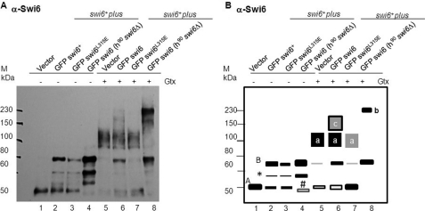 FIGURE 10.