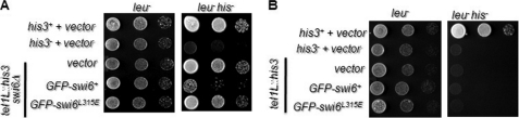 FIGURE 6.